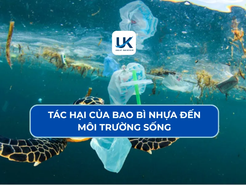 TÁC HẠI CỦA BAO BÌ NHỰA ĐẾN MÔI TRƯỜNG SỐNG